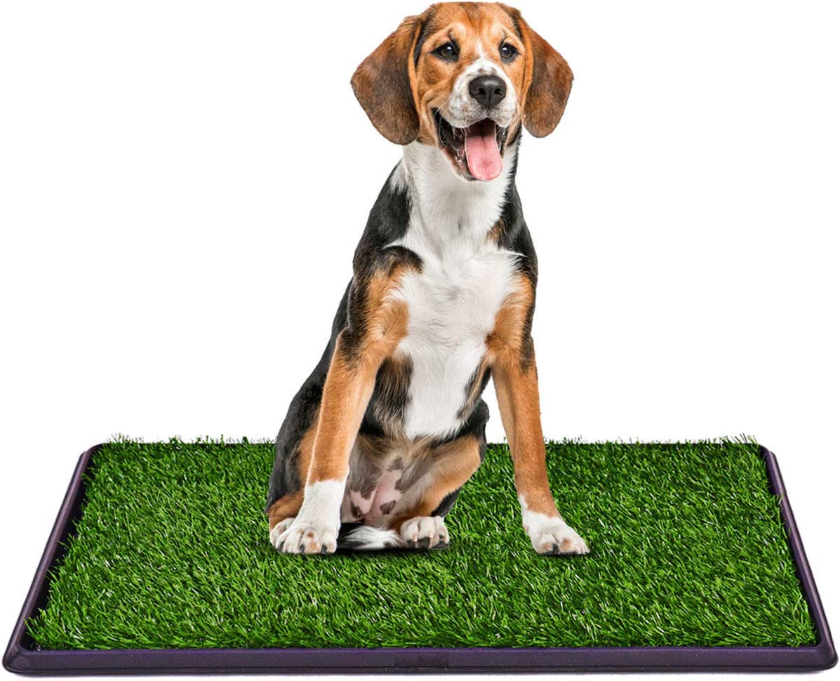 Pasto Entrenador ProudCo Reusable para Perros Medianos y Grandes
