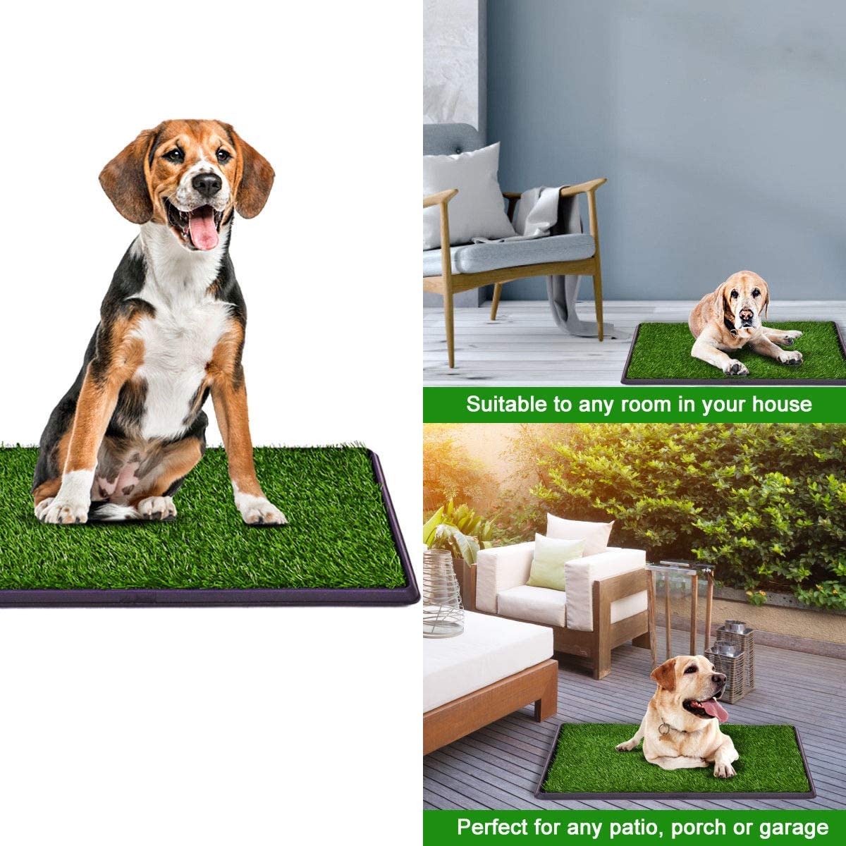 Foto 4 pulgar | Pasto Entrenador ProudCo Reusable para Perros Medianos y Grandes