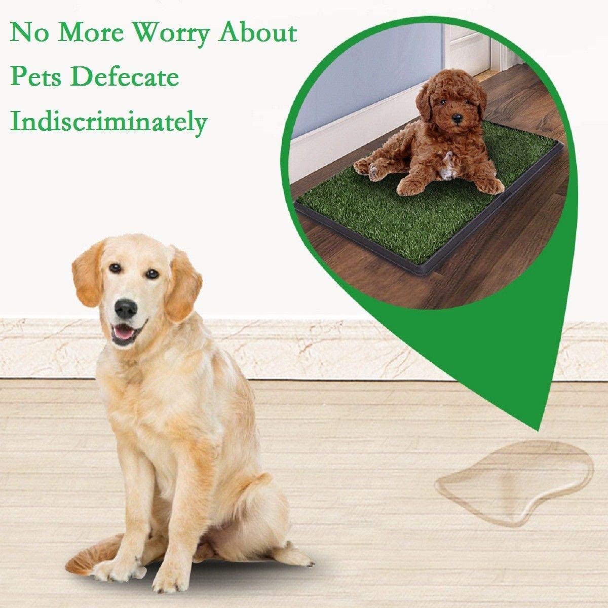 Foto 4 | Pasto Entrenador ProudCo Reusable para Perros Medianos y Grandes