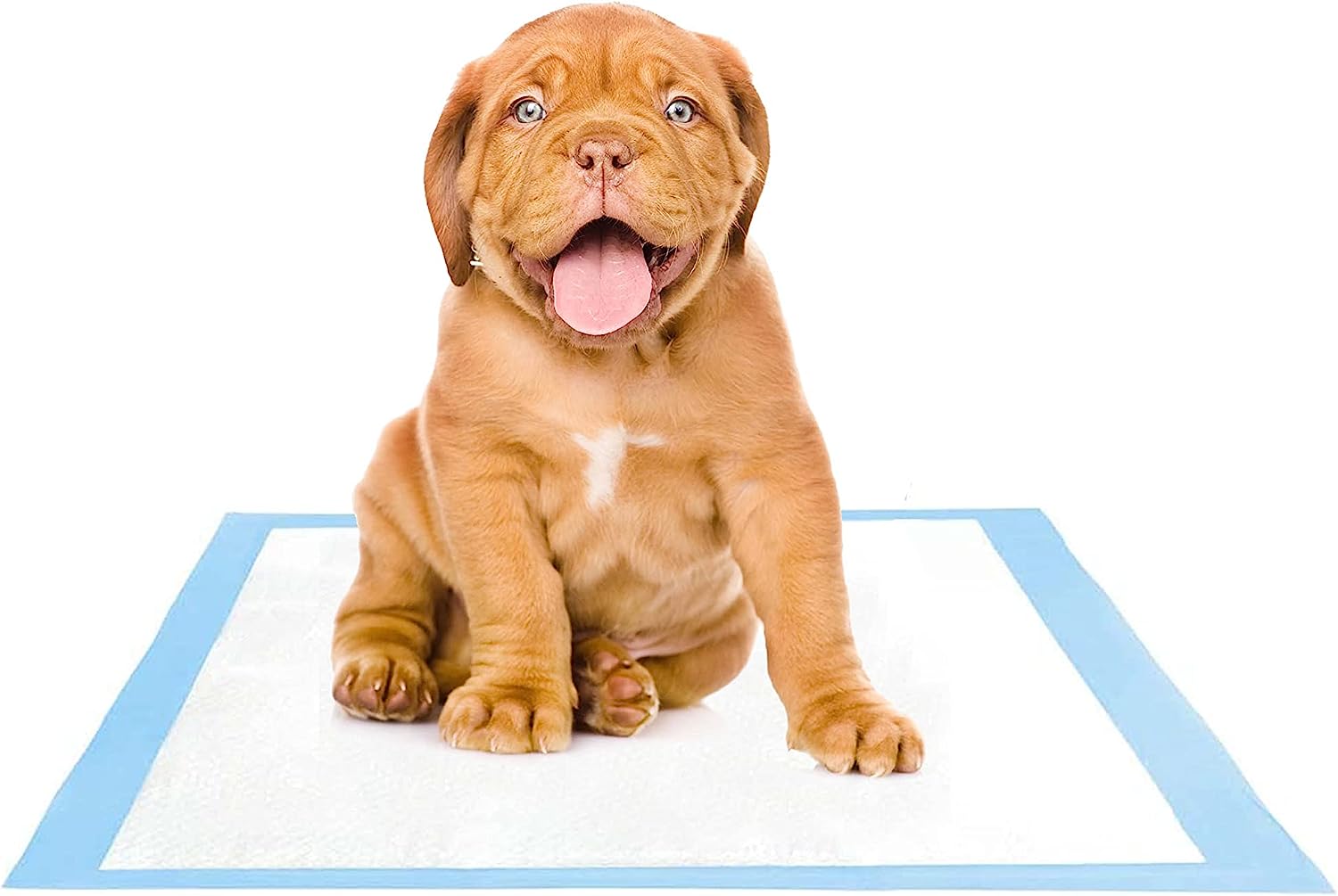 Foto 2 | Tapete Entrenador para Perros ProudCo Rápida Absorción