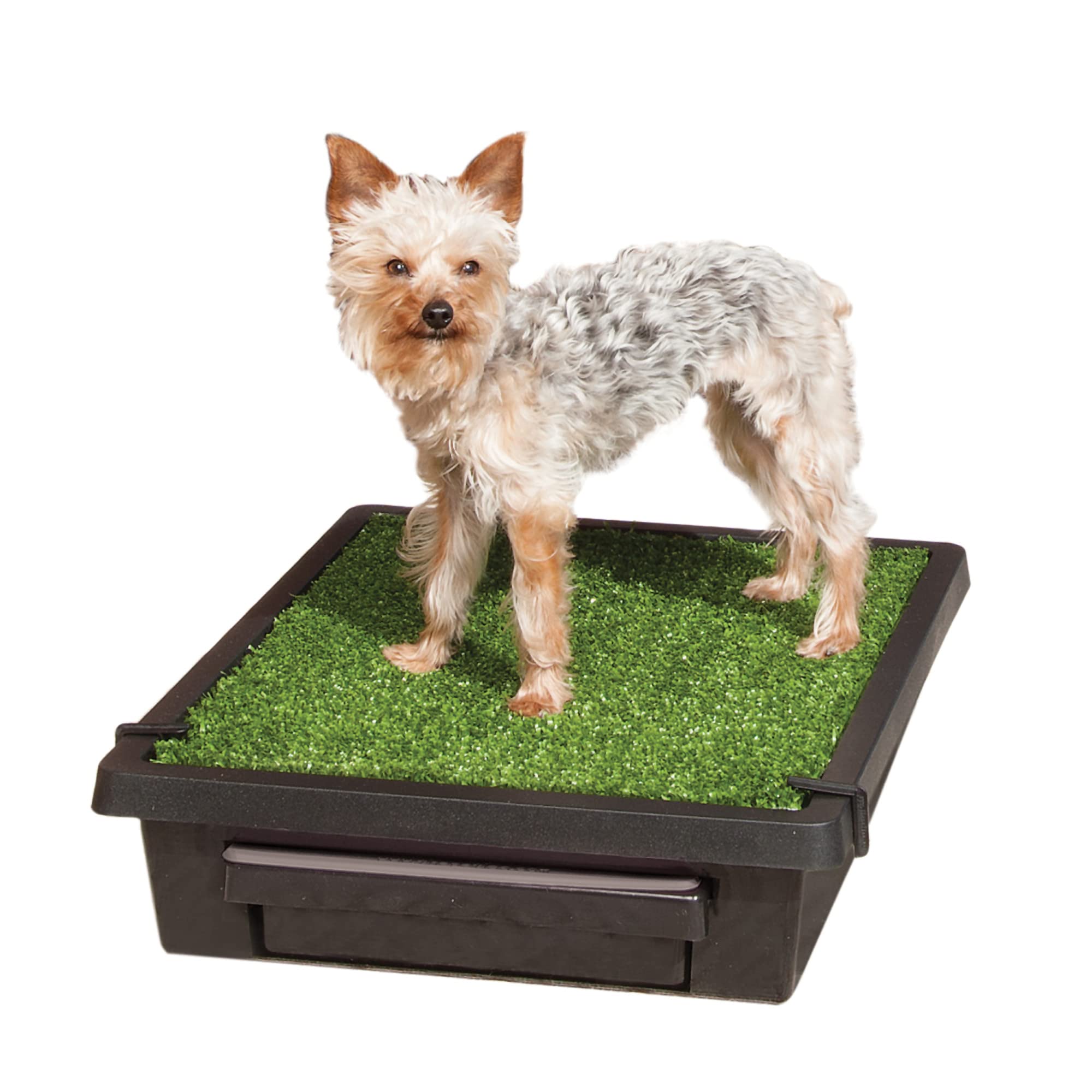 Foto 1 | Orinal Portátil Para Perros Petsafe Para Mascotas Pequeñas - Venta Internacional.