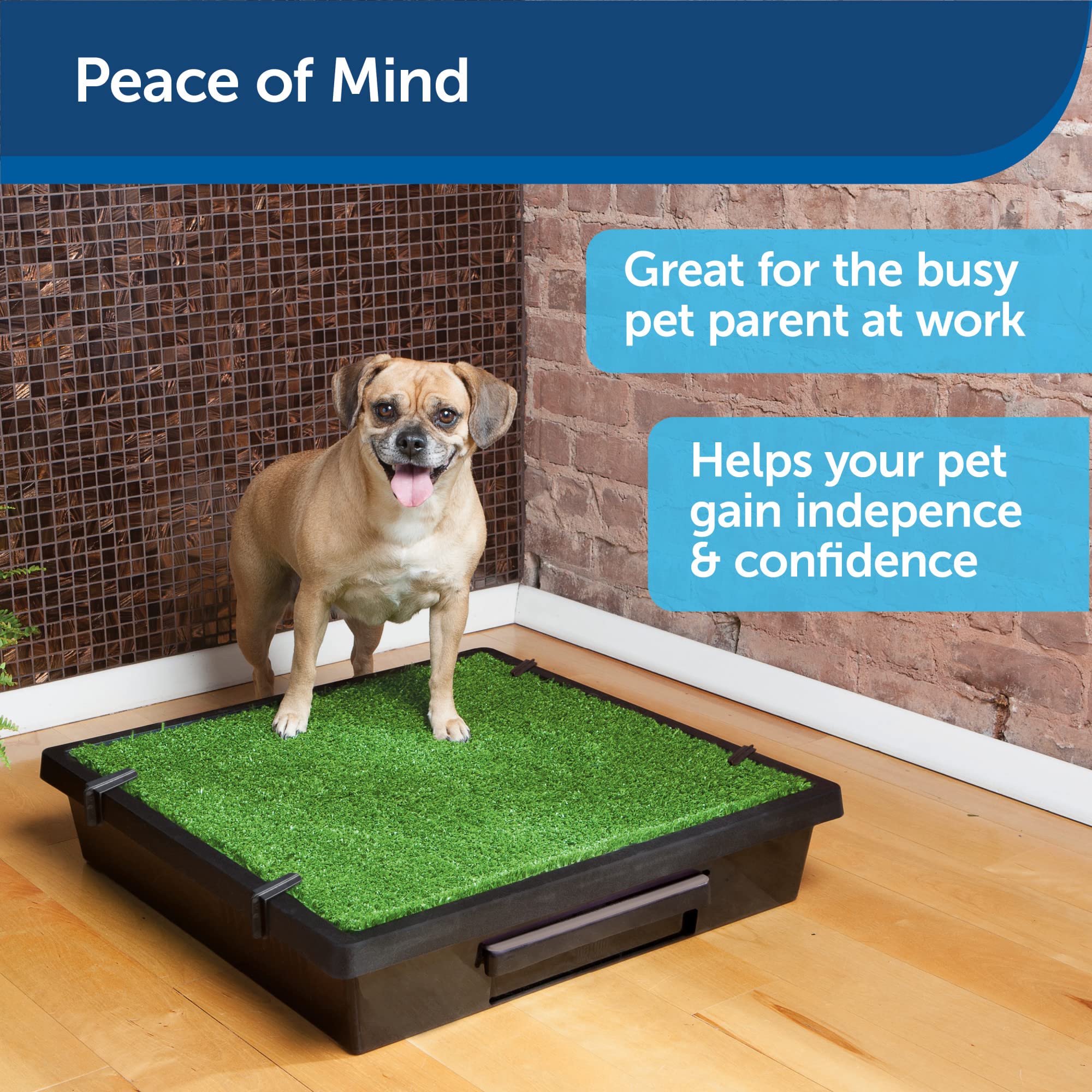 Foto 3 pulgar | Orinal Portátil Para Perros Petsafe Para Mascotas Pequeñas - Venta Internacional.