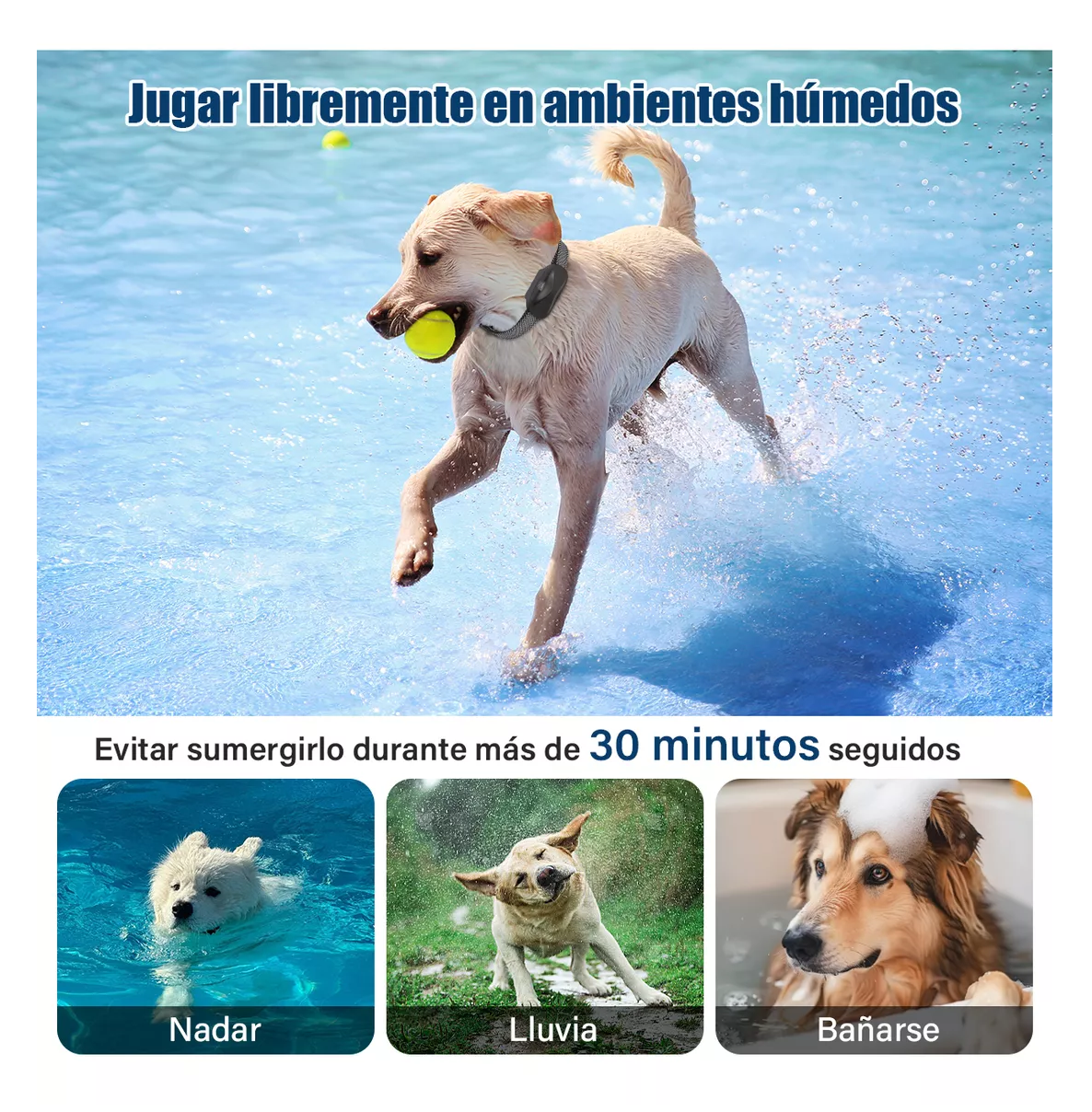 Foto 4 pulgar | Collar Antiladridos Eléctrico para Perros con Control Remoto