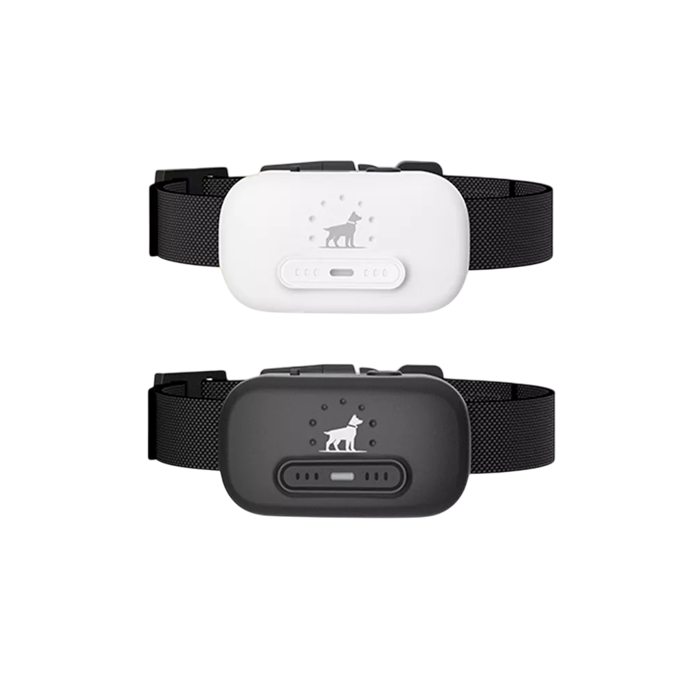 Foto 1 | Collar de Adiestramiento Eléctrico para Perros 2 Piezas