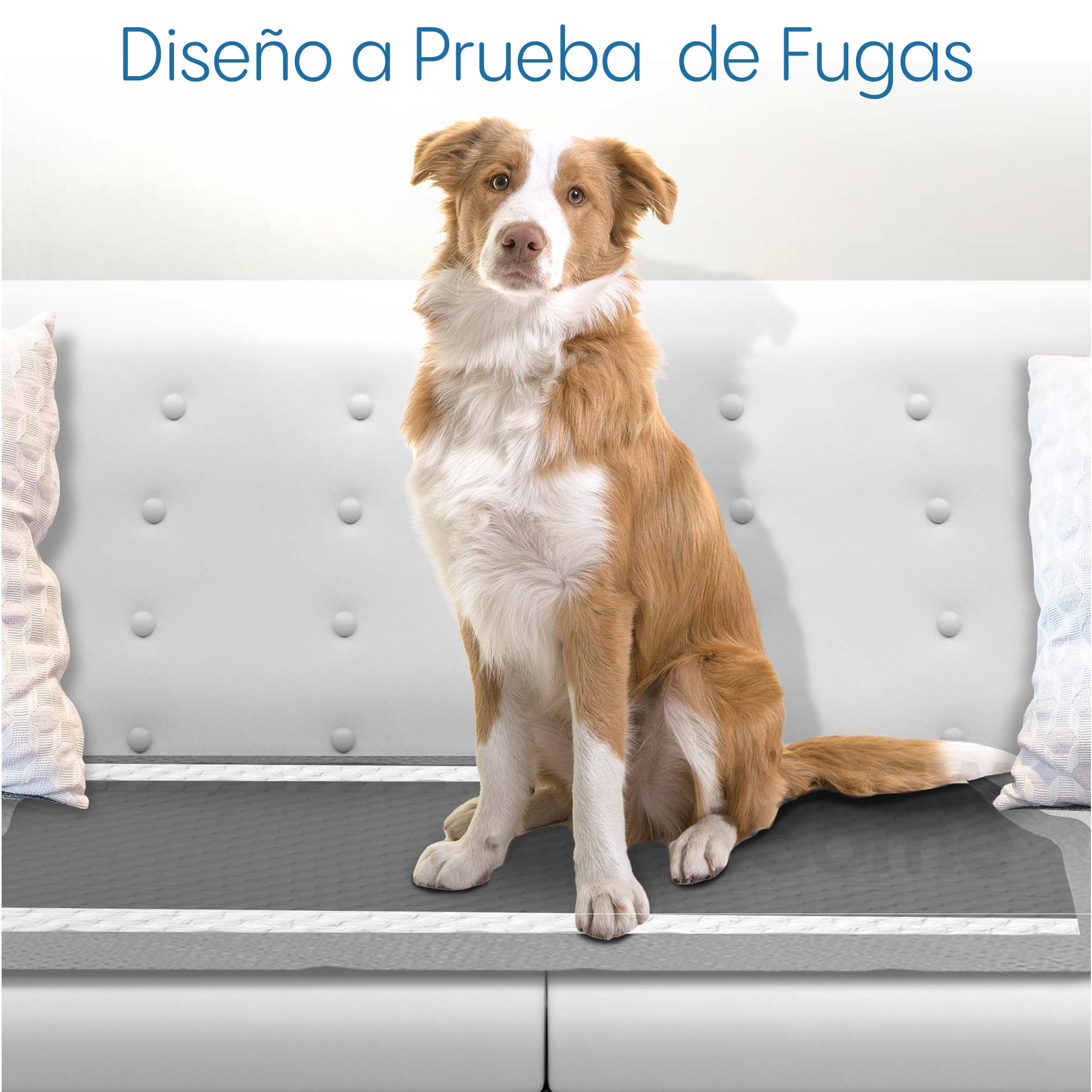 Foto 6 pulgar | Magma Life Tapete Entrenador Para Perro 70x90cm, 50 Almohadillas Desechables Para Mascota Súper Absorbentes Antifugas