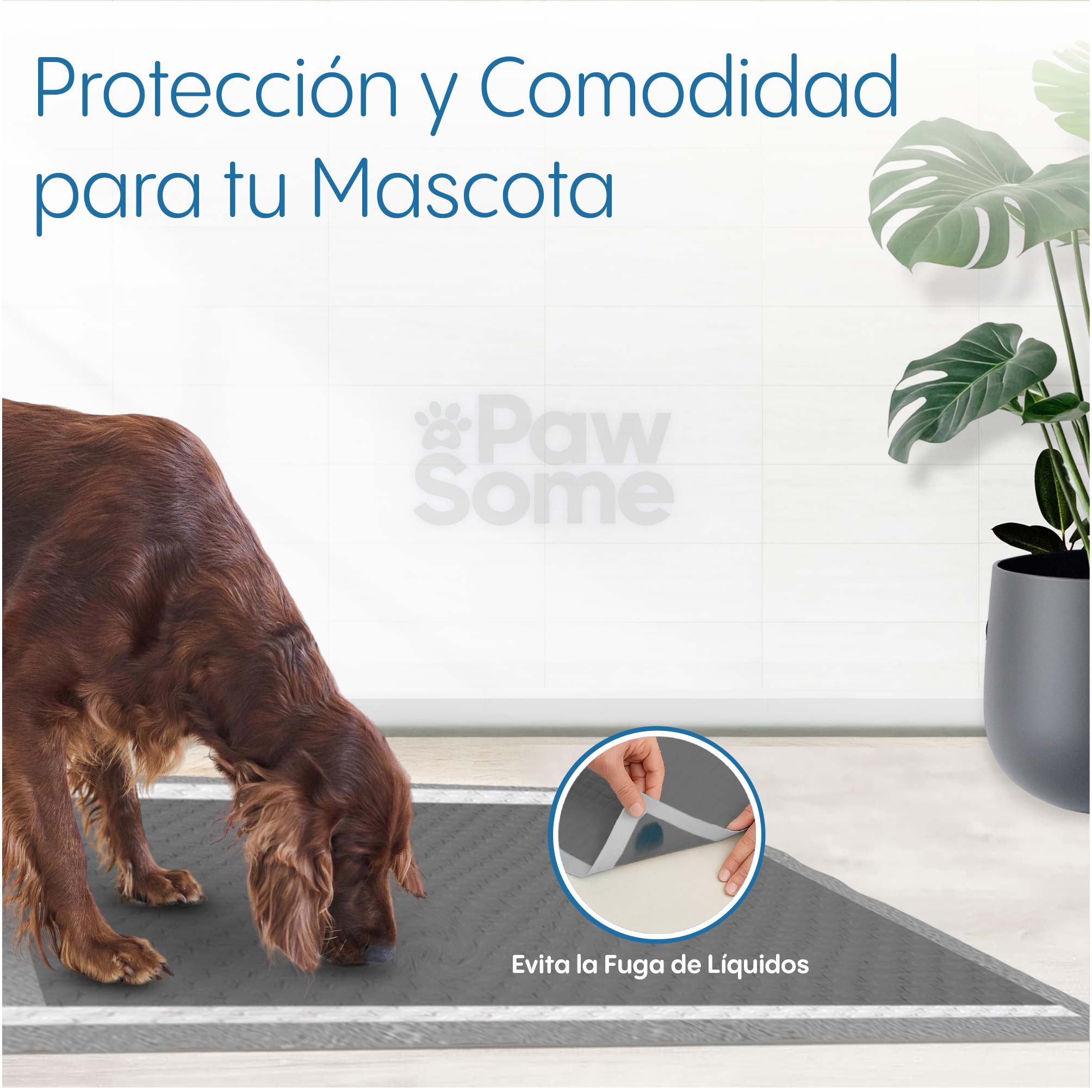 Foto 7 pulgar | Magma Life Tapete Entrenador Para Perro 70x90cm, 50 Almohadillas Desechables Para Mascota Súper Absorbentes Antifugas