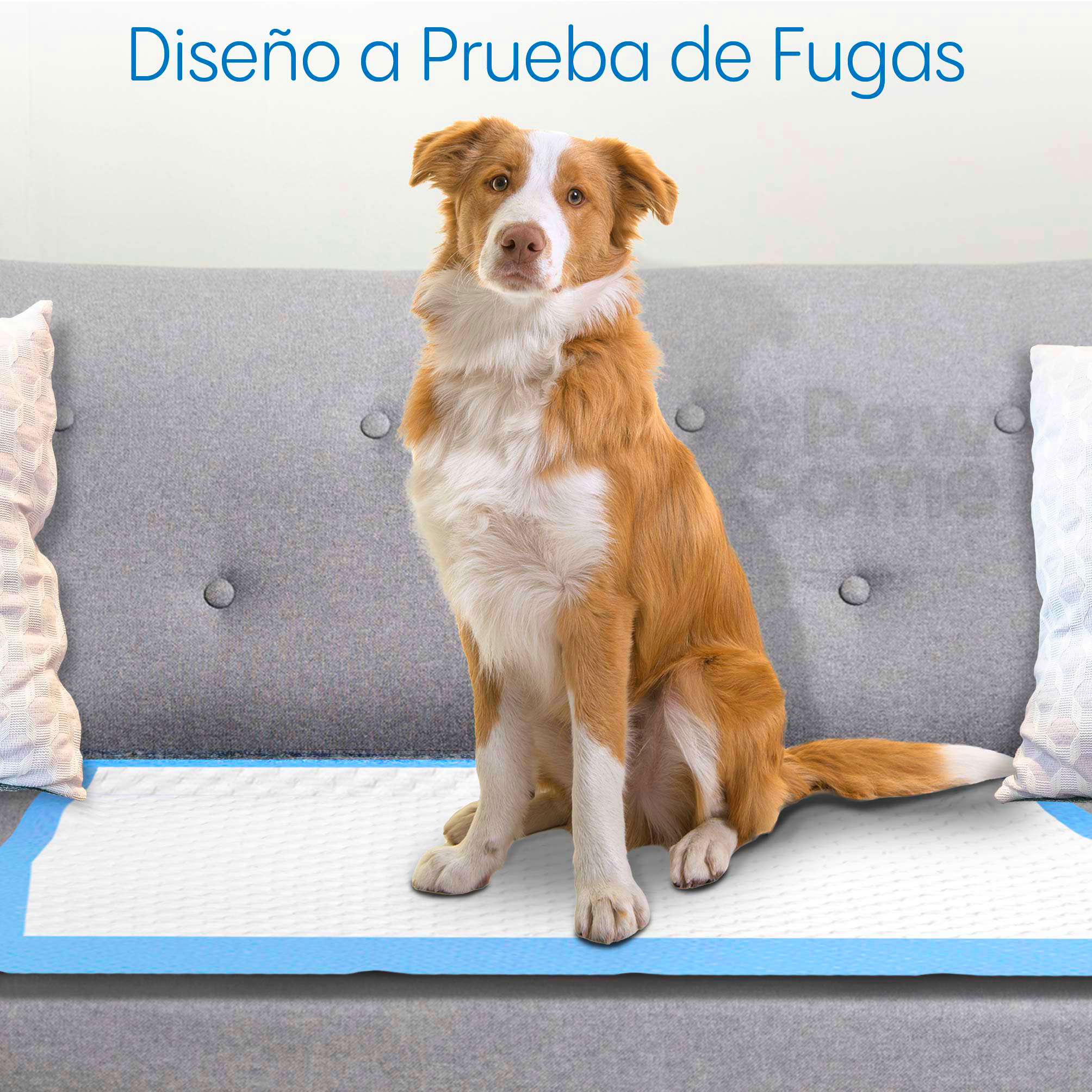 Foto 7 pulgar | Magma Life Tapete Entrenador Para Perro 70 X 90 Cm, 50 Almohadillas Desechables Para Mascota Súper Absorbentes