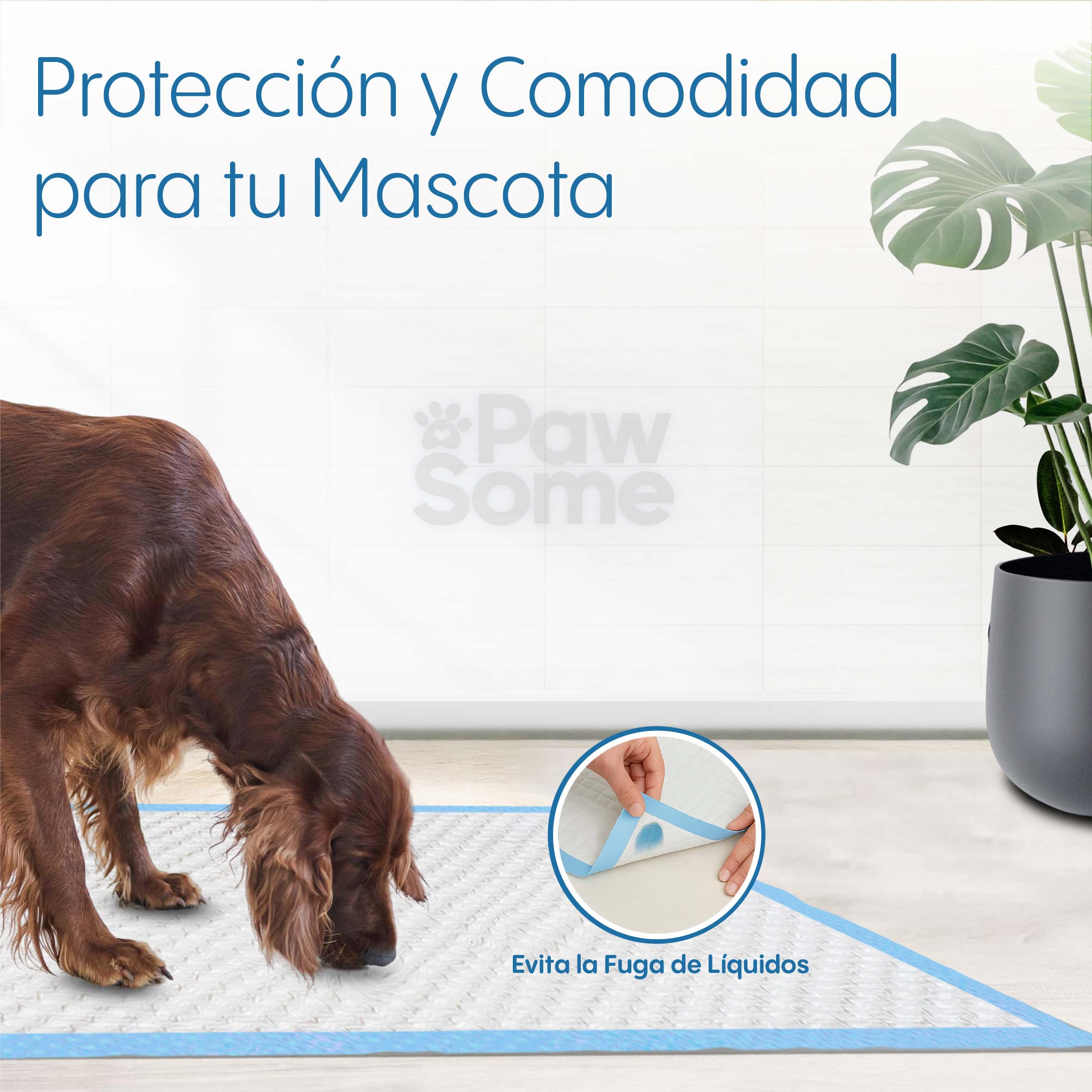 Foto 8 pulgar | Magma Life Tapete Entrenador Para Perro 70 X 90 Cm, 50 Almohadillas Desechables Para Mascota Súper Absorbentes