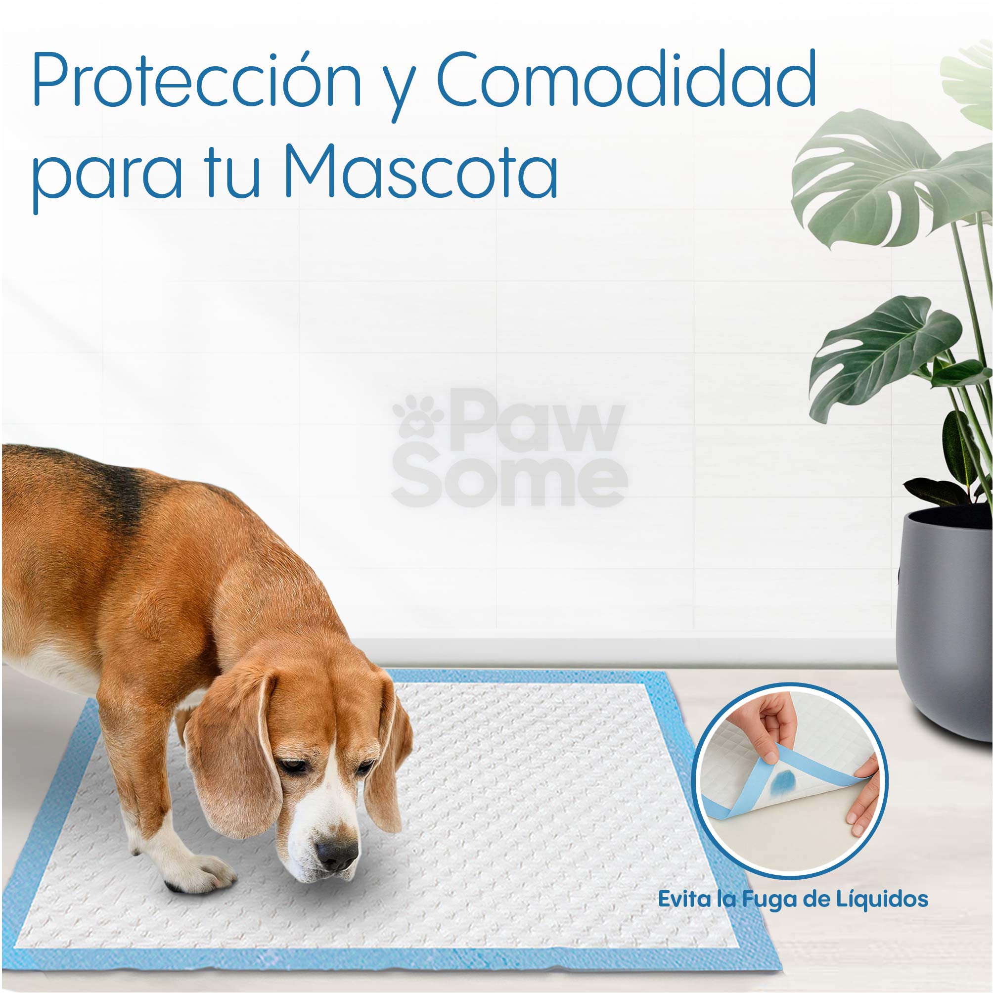 Foto 3 pulgar | Magma Life Tapete Entrenador Para Perro 60 X 60 Cm, 50 Almohadillas Desechables Para Mascota Súper Absorbentes