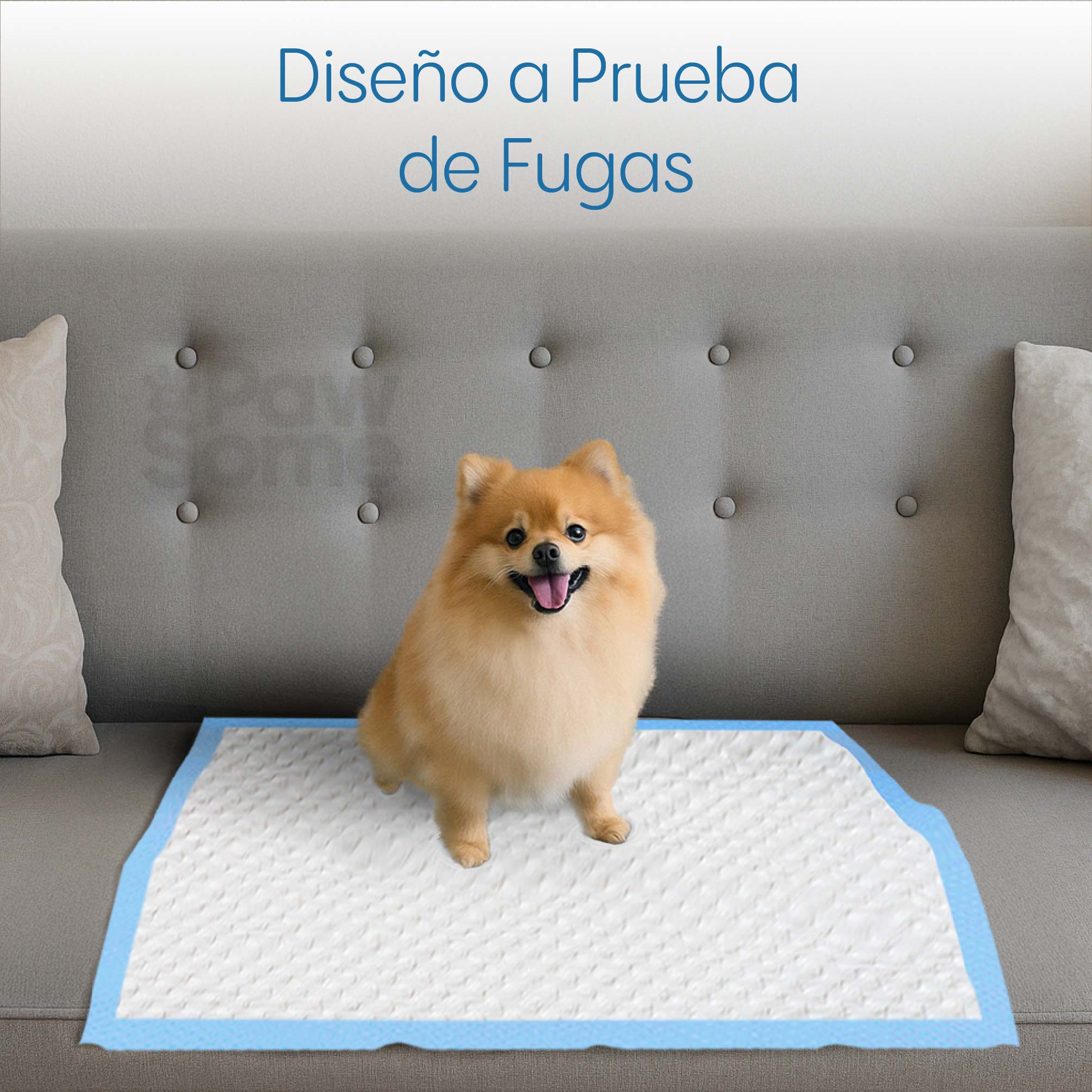 Foto 6 pulgar | Magma Life Tapete Entrenador Para Perro 60 X 60 Cm, 50 Almohadillas Desechables Para Mascota Súper Absorbentes