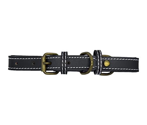 Collar Pet's Life color Negro para Mascota