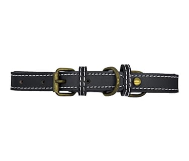 Foto 1 | Collar Pet's Life color Negro para Mascota