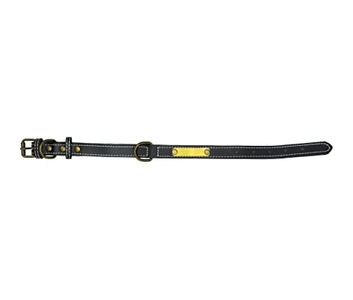 Foto 4 pulgar | Collar Pet's Life color Negro para Mascota