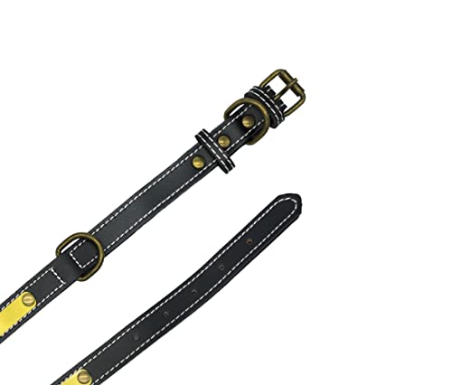 Foto 5 pulgar | Collar Pet's Life color Negro para Mascota