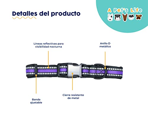 Foto 4 pulgar | A Pets Life Collar Con Banda Reflectiva Para Perro (grande, Morado Fluorescente)
