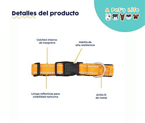 Foto 3 pulgar | A Pets Life Collar Reflejante Con Interior De Neopreno Acolchonado Para Perro, Talla M. (anaranjado)
