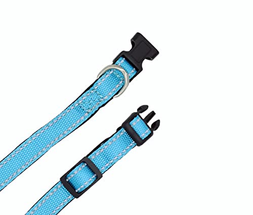 Foto 4 pulgar | A Pets Life Collar Reflejante Con Interior De Neopreno Acolchonado Para Perro, Talla M. (turquesa)