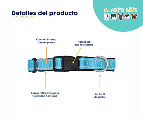 Foto 3 pulgar | A Pets Life Collar Reflejante Con Interior De Neopreno Acolchonado Para Perro, Talla L. (turquesa)