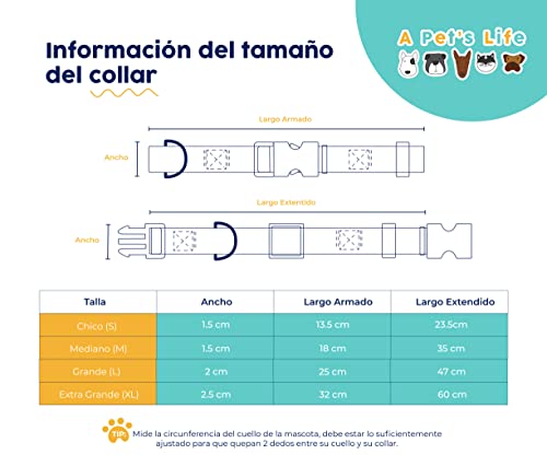 Foto 4 pulgar | A Pets Life Collar Reflejante Con Interior De Neopreno Acolchonado Para Perro, Talla L. (turquesa)