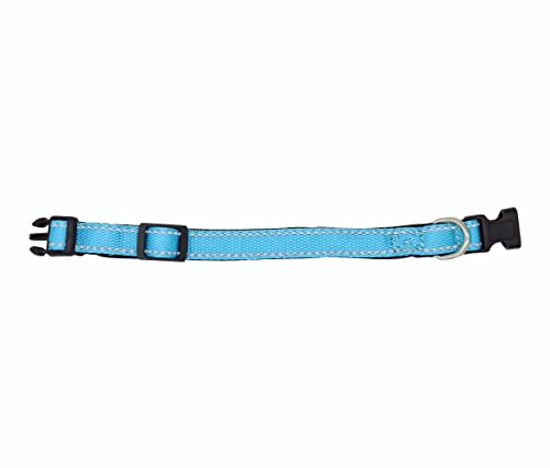 Foto 6 pulgar | A Pets Life Collar Reflejante Con Interior De Neopreno Acolchonado Para Perro, Talla L. (turquesa)