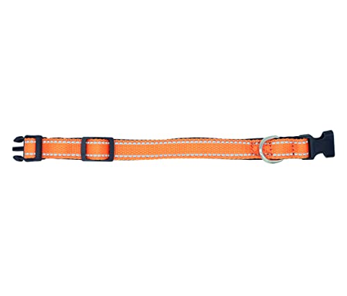 Foto 6 pulgar | A Pets Life Collar Reflejante Con Interior De Neopreno Acolchonado Para Perro, Talla L. (anaranjado)
