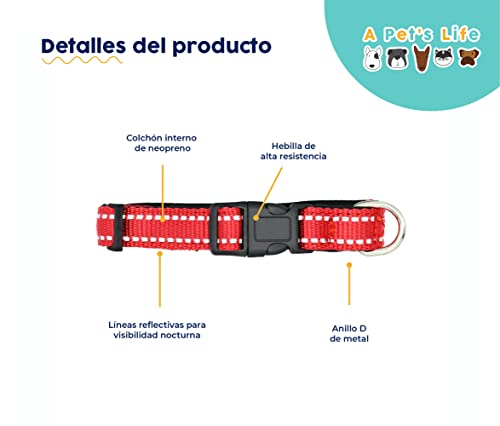 Foto 3 pulgar | A Pets Life Collar Reflejante Con Interior De Neopreno Acolchonado Para Perro, Talla S. (rojo)