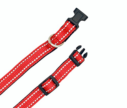 Foto 4 pulgar | A Pets Life Collar Reflejante Con Interior De Neopreno Acolchonado Para Perro, Talla S. (rojo)