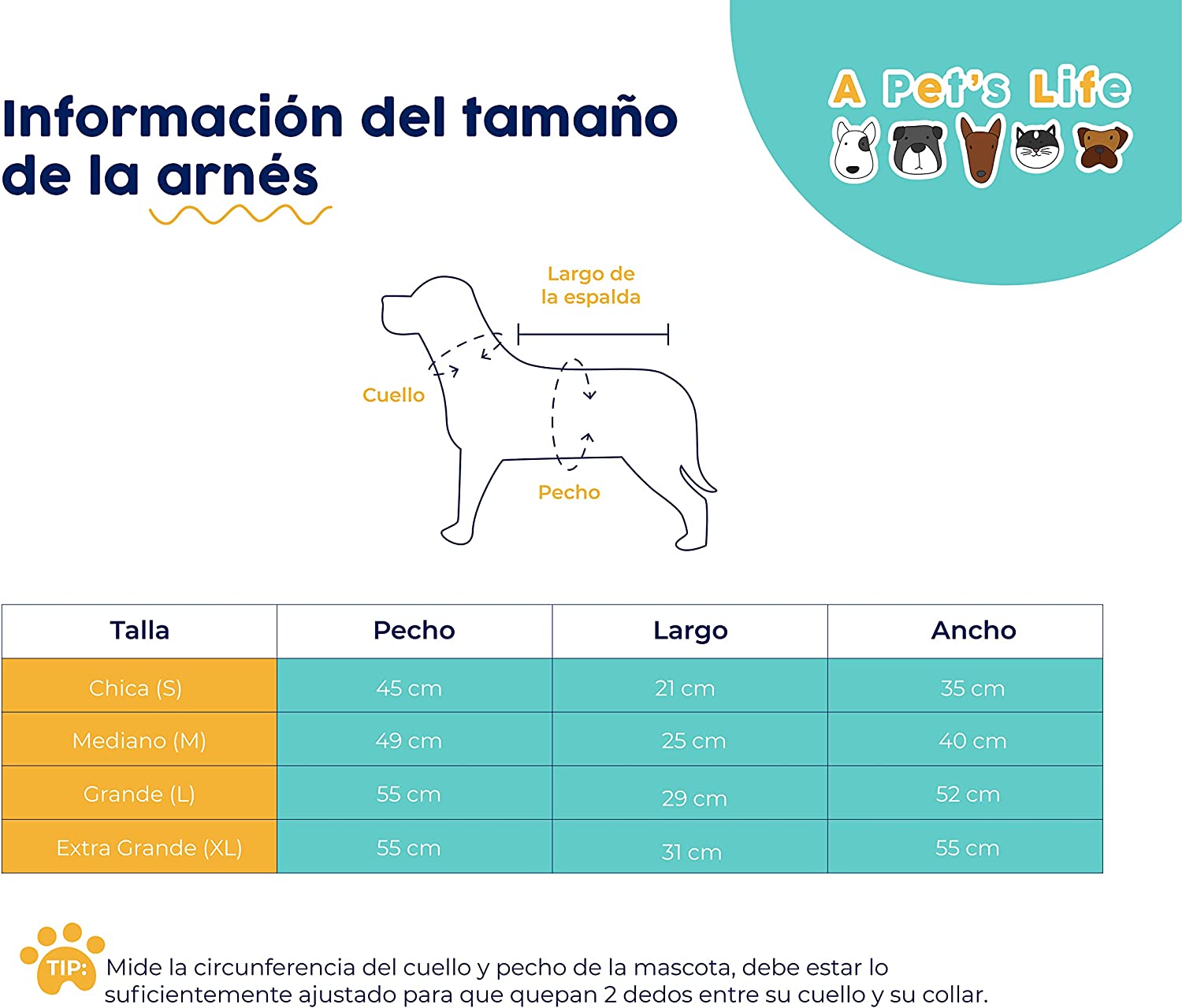 Foto 4 | Arnés Con Banda Reflejante Pet's Life HARNE-031 color Azul para Perro Chico