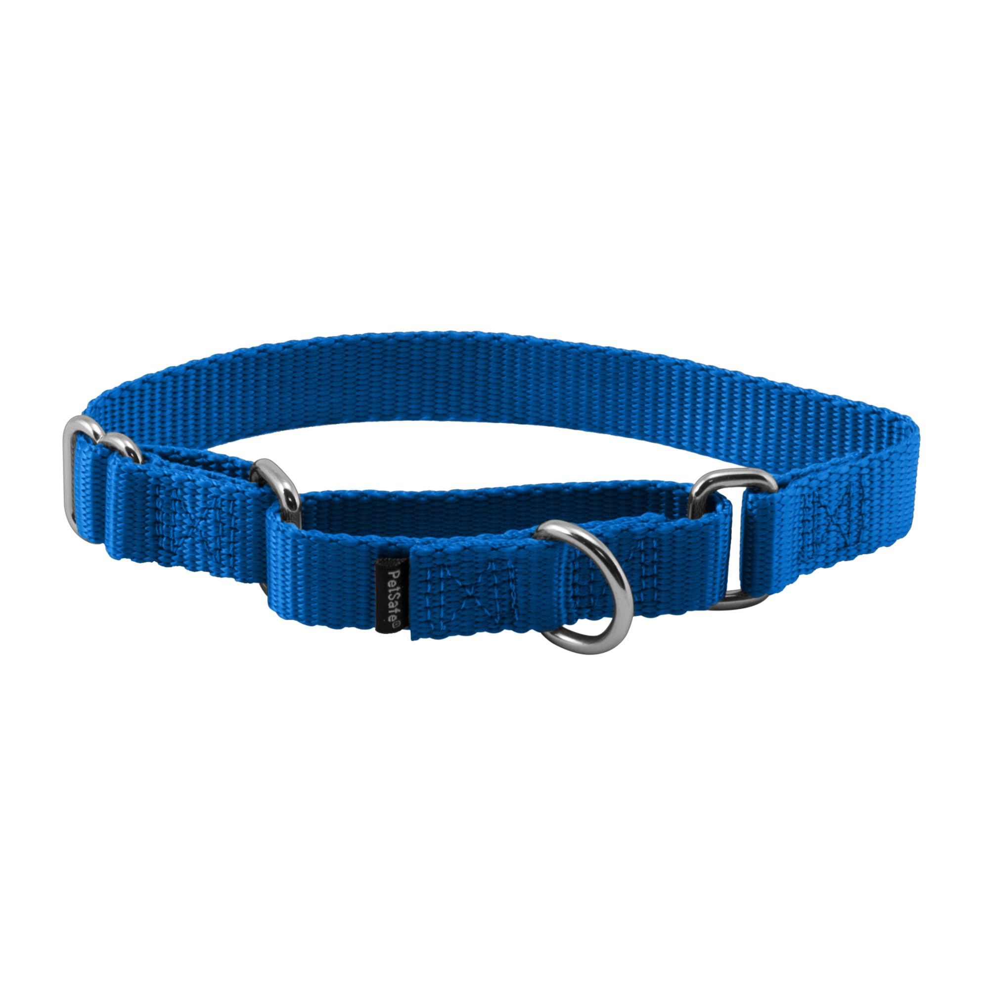 Collar Martingale Petsafe Azul Real De 3/4 Pulgadas Para Perros Pequeños - Venta Internacional.