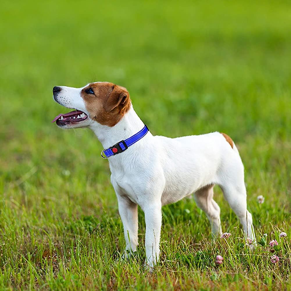 Foto 1 | Collar Para Perros Huoguo De Nailon Reflectante Con Hebilla De Seguridad S 25-40c - Venta Internacional.