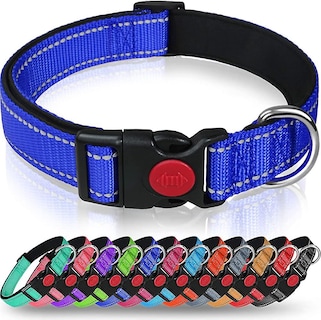 Foto 5 | Collar Para Perros Huoguo De Nailon Reflectante Con Hebilla De Seguridad S 25-40c - Venta Internacional.