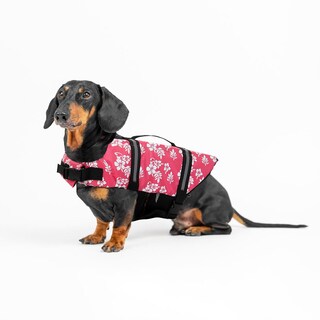 Foto 3 | Chaleco Salvavidas Para Perros Huoguo Pet Rescue Coat Reflectante - Venta Internacional.