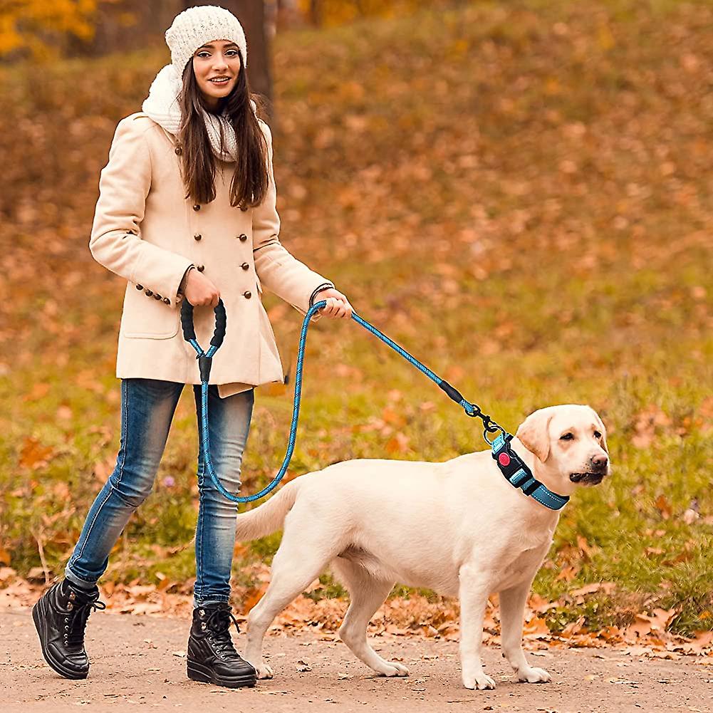 Foto 5 pulgar | Collar Para Perro Acolchado Reflectante Con Neopreno Suave Haapaw +1,5 M L - Venta Internacional.