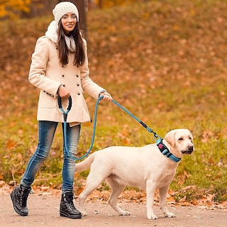Foto 4 | Collar Para Perro Acolchado Reflectante Con Neopreno Suave Haapaw +1,5 M L - Venta Internacional.