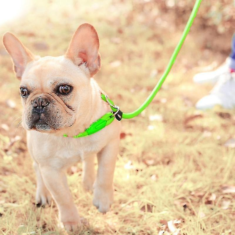 Foto 4 pulgar | Correa De Tracción Con Forma De Jaula Para Pájaros Y Baños Para Mascotas Y Perros - Venta Internacional.