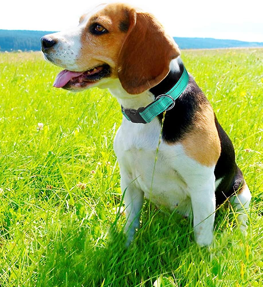 Foto 1 | Collar De Perro Huoguo De Neopreno Reflectante De Nailon Para Perros X-small - Venta Internacional.