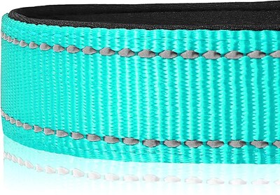 Foto 3 | Collar De Perro Huoguo De Neopreno Reflectante De Nailon Para Perros X-small - Venta Internacional.
