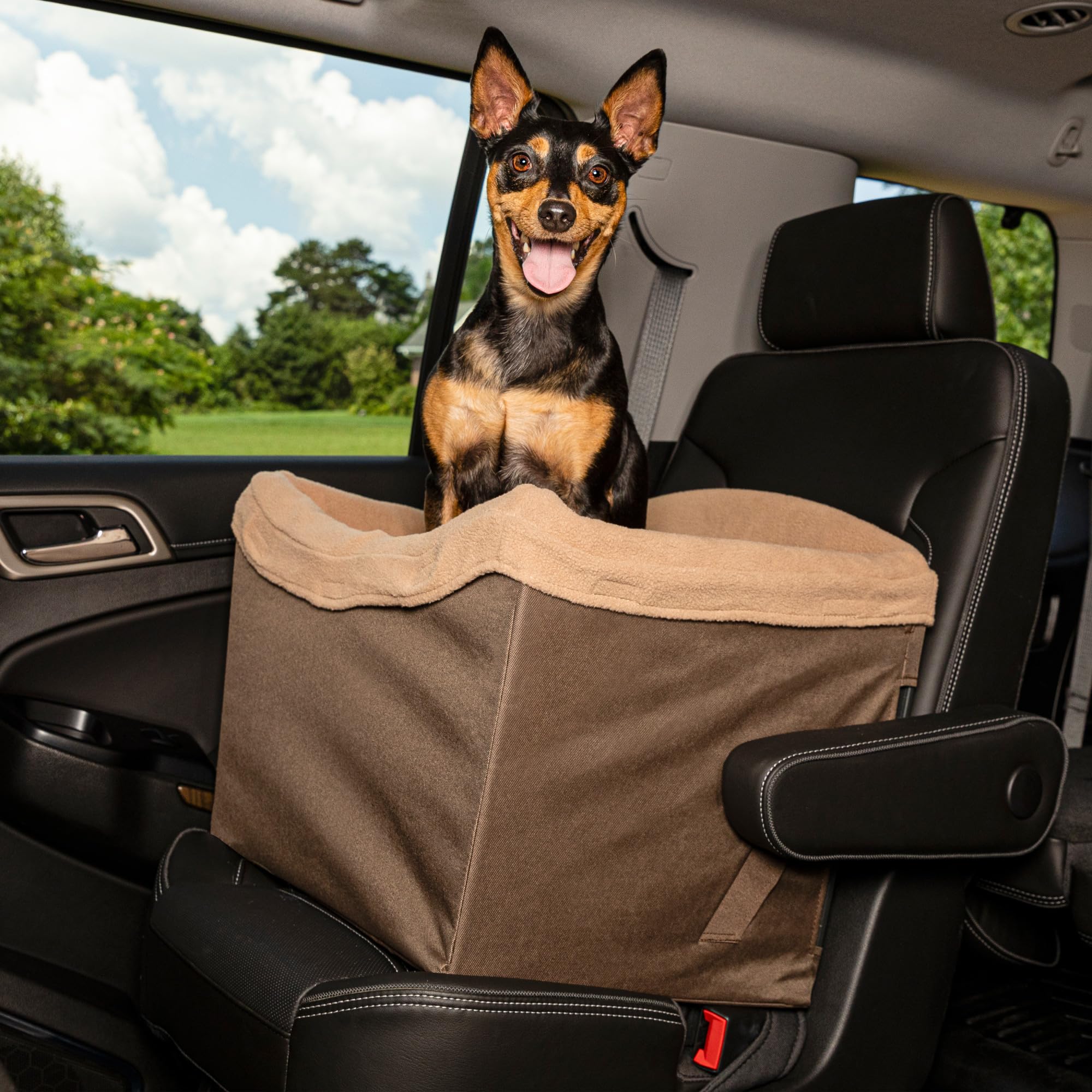 Foto 5 pulgar | Asiento De Seguridad Para Perros Petsafe Happy Ride Para Automóviles, Camiones Y Suv - Venta Internacional.