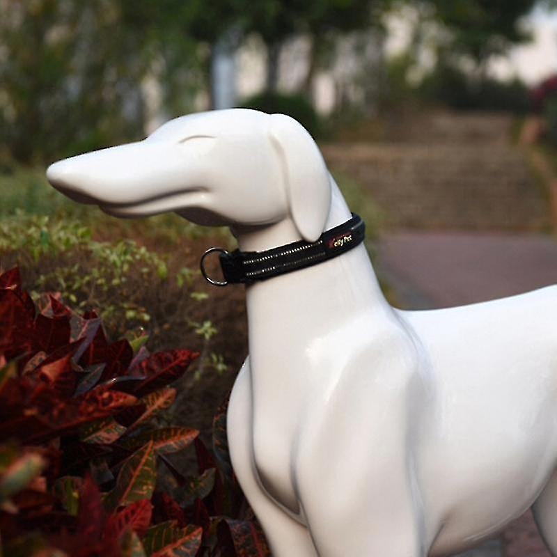 Correa De Poliéster Para Mascotas Huoguo, Tamaño L - Venta Internacional.