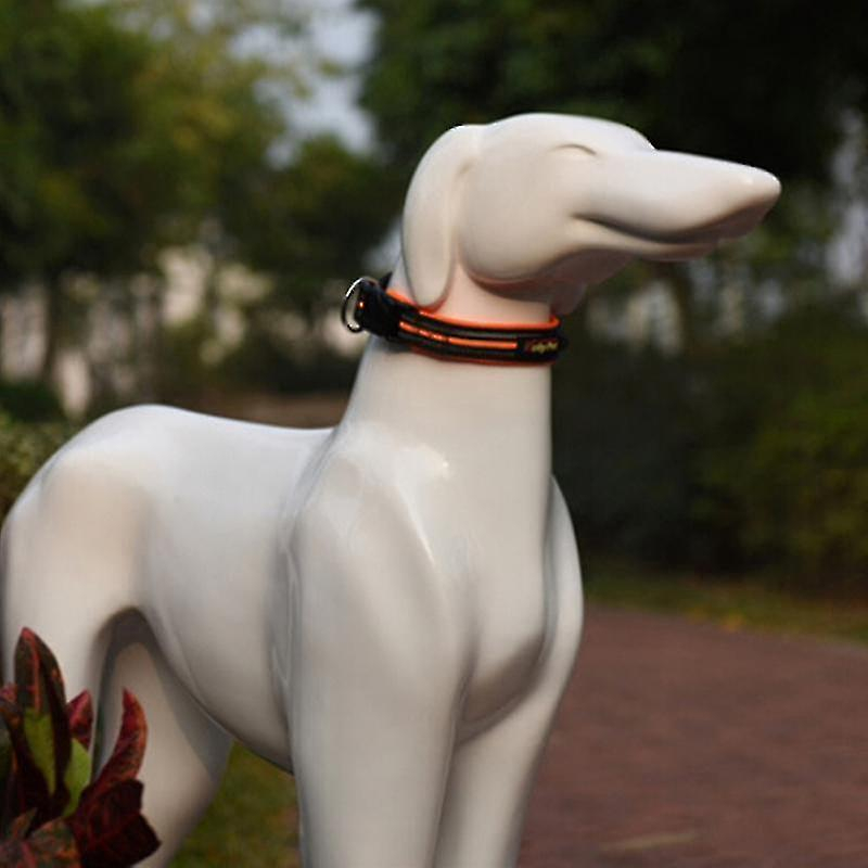 Foto 2 pulgar | Collar Con Tracción Para Mascotas Huoguo, Jaula Para Pájaros - Venta Internacional.
