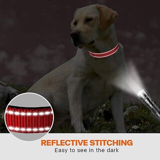 Foto 4 | Collar Para Perros Huoguo De Nailon Reflectante Con Hebilla De Seguridad Talla M - Venta Internacional.