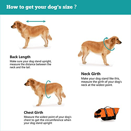 Foto 5 pulgar | Traje De Baño De Seguridad Para Perros Haocoo Saver Con Chaleco Salvavidas Para Perros, Color Rosa - Venta Internacion