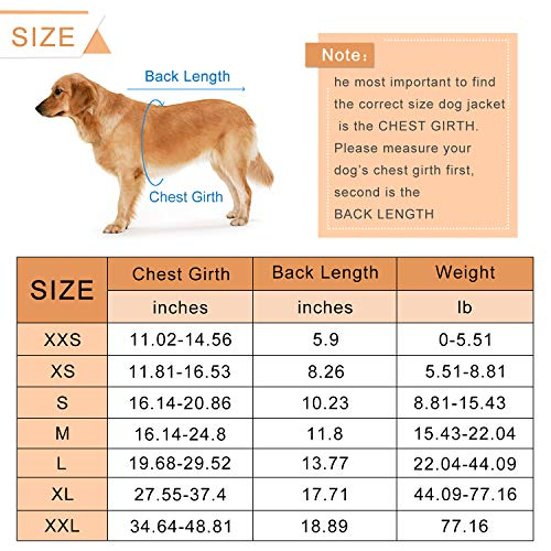 Foto 5 | Traje De Baño De Seguridad Para Perros Haocoo Saver Con Chaleco Salvavidas Para Perros, Color Rosa - Venta Internacion