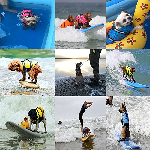 Foto 7 pulgar | Traje De Baño De Seguridad Para Perros Haocoo Saver Con Chaleco Salvavidas Para Perros, Color Rosa - Venta Internacion