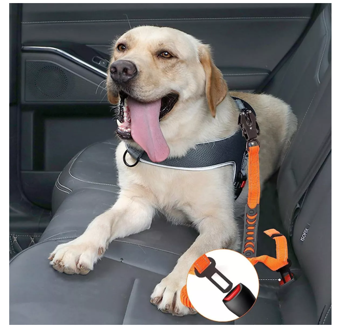 Foto 6 pulgar | Correa Xtellar Cinturón De Seguridad Para Perro Grande Reflectante