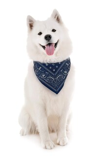 Foto 2 | Bandana Para Perro Genuina Fred Howligans, Tamaño Pequeño, Azul Marino, Reflectante - Venta Internacional.