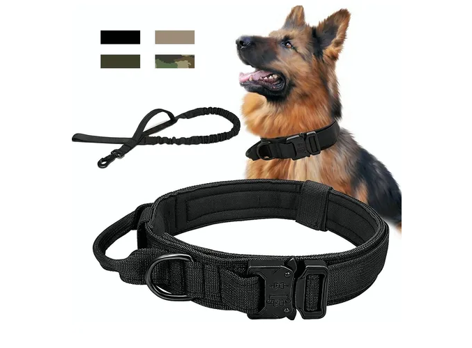 Foto 2 pulgar | Collar Y Correa Para Perro Xtellar  Ajustable Con Hebilla Metálica – Ideal Para Entrenamiento Y Actividades Exteriores