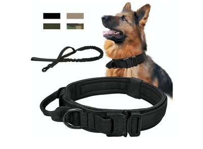 Foto 1 | Collar Y Correa Para Perro Xtellar Ajustable Con Hebilla Metálica – Ideal Para Entrenamiento Y Actividades Exteriores