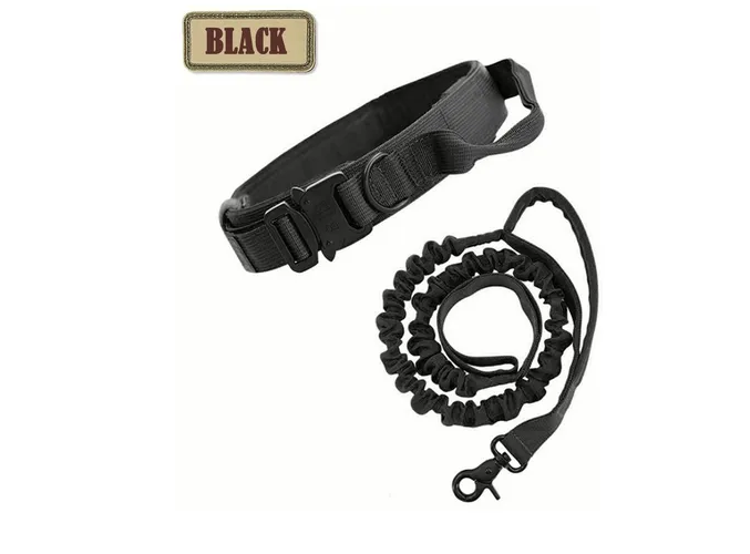 Foto 3 pulgar | Collar Y Correa Para Perro Xtellar  Ajustable Con Hebilla Metálica – Ideal Para Entrenamiento Y Actividades Exteriores
