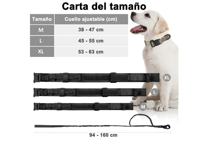 Foto 4 pulgar | Collar Y Correa Para Perro Xtellar  Ajustable Con Hebilla Metálica – Ideal Para Entrenamiento Y Actividades Exteriores